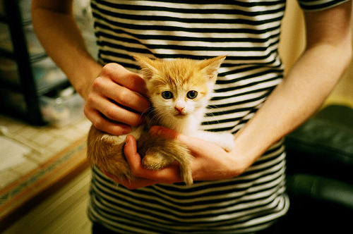 意甲球队基于心率变异性调整训练负荷管理,心率变异度被心理学家们称为身体意志力的储备