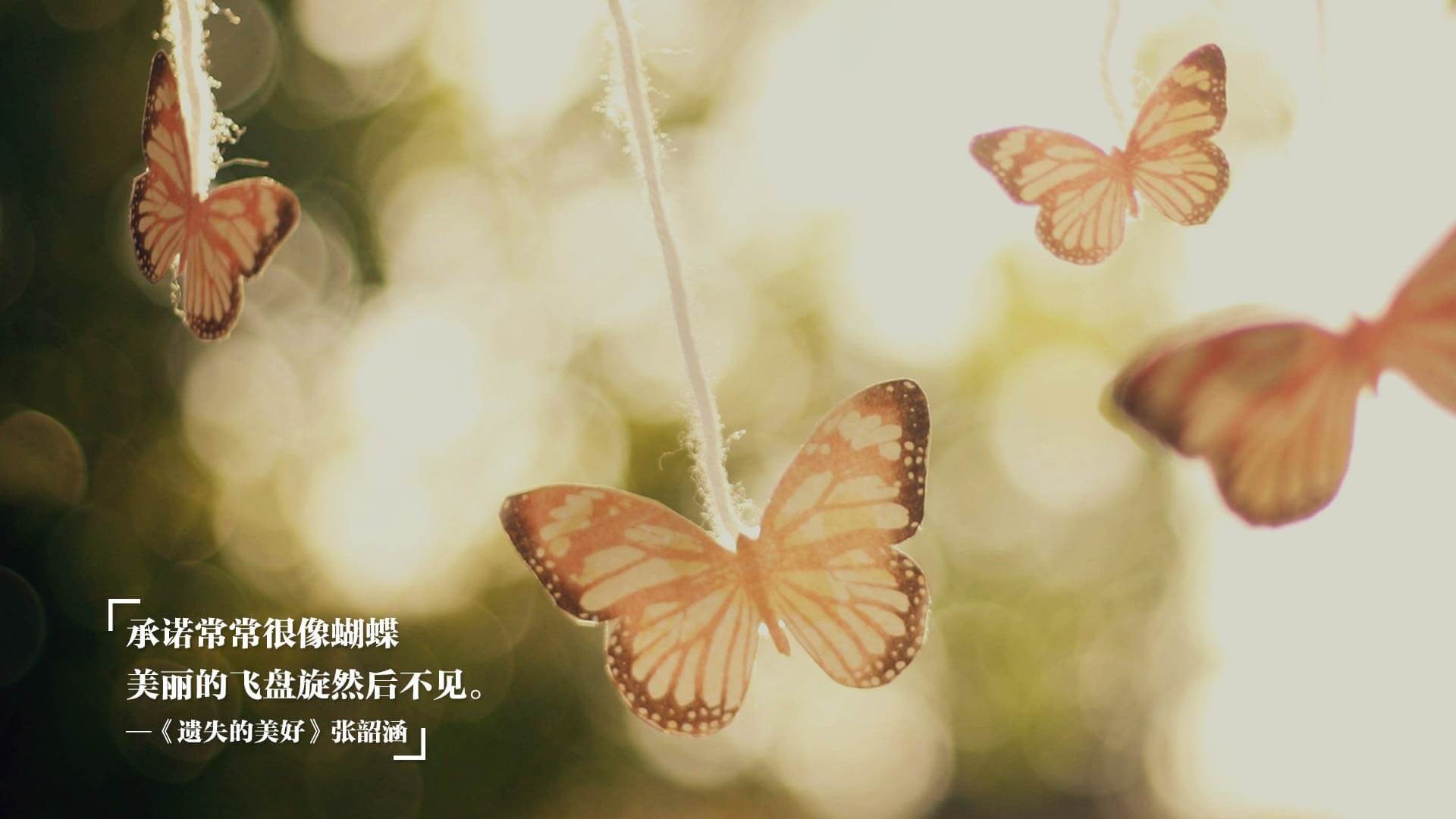 城市马拉松配速员制度增强群众参与体验,马拉松比赛的配速员做什么工作