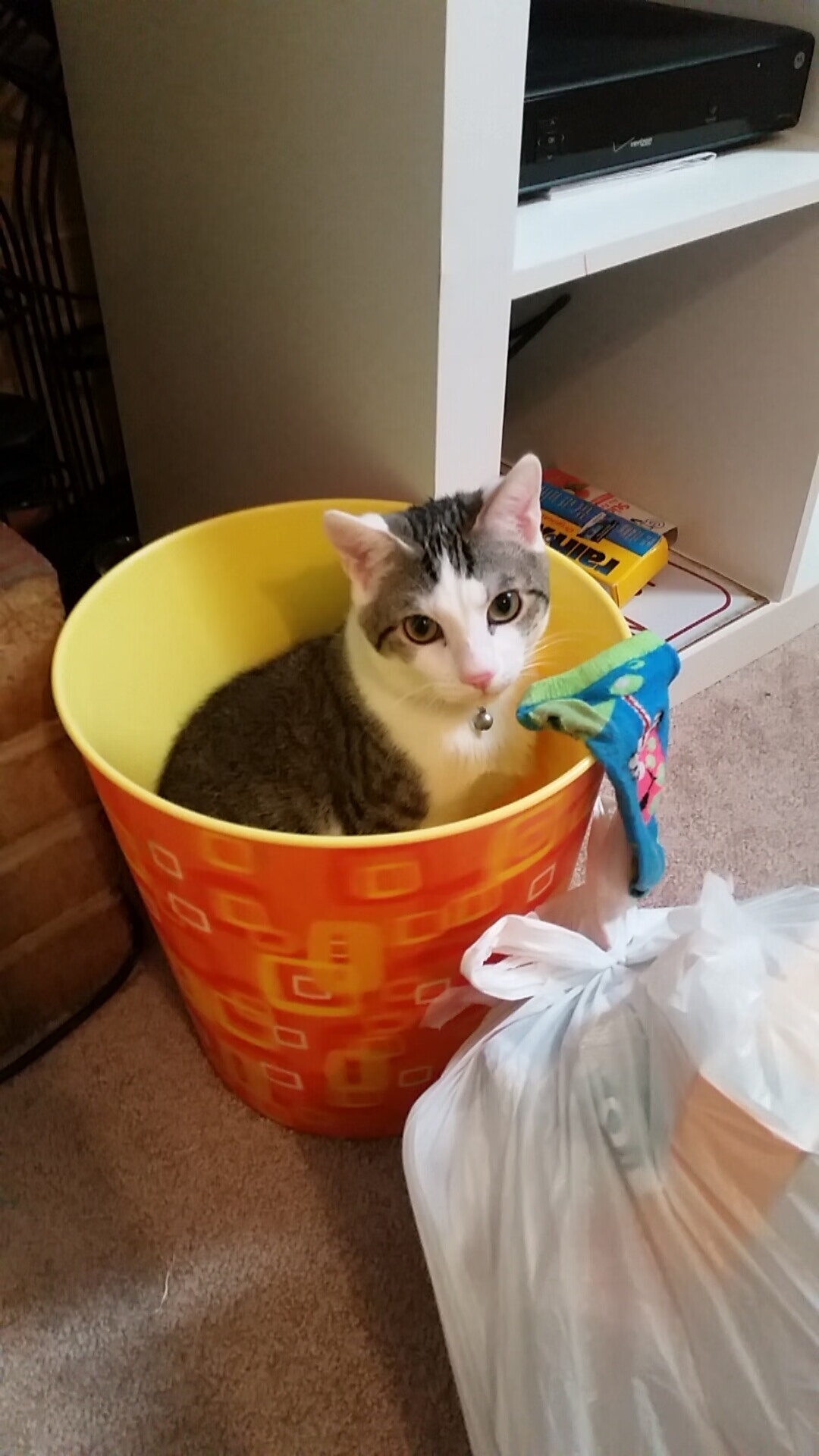 新闻中心公告体育法律服务联盟年度会议时间安排，体育法研究会