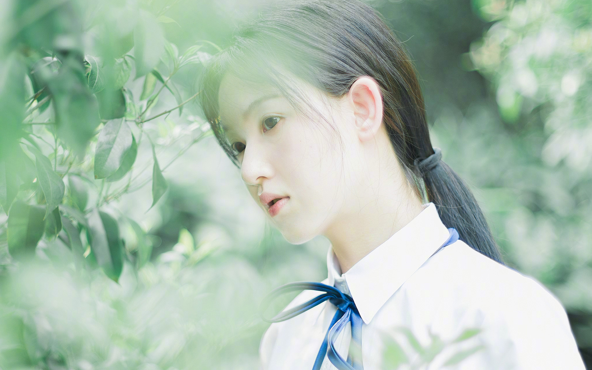 新闻中心公告体育法律服务联盟年度会议时间安排，体育法研究会