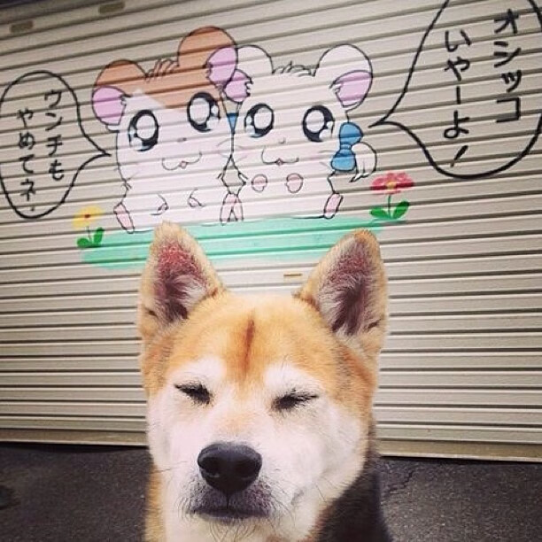 林丹受邀参与校园羽毛球公益课,林丹羽毛球精彩视频