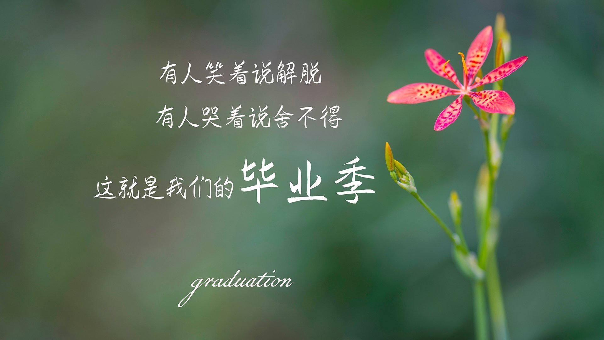 职业联赛加强数据分析支持战术优化和球员发展，职业联赛的意义