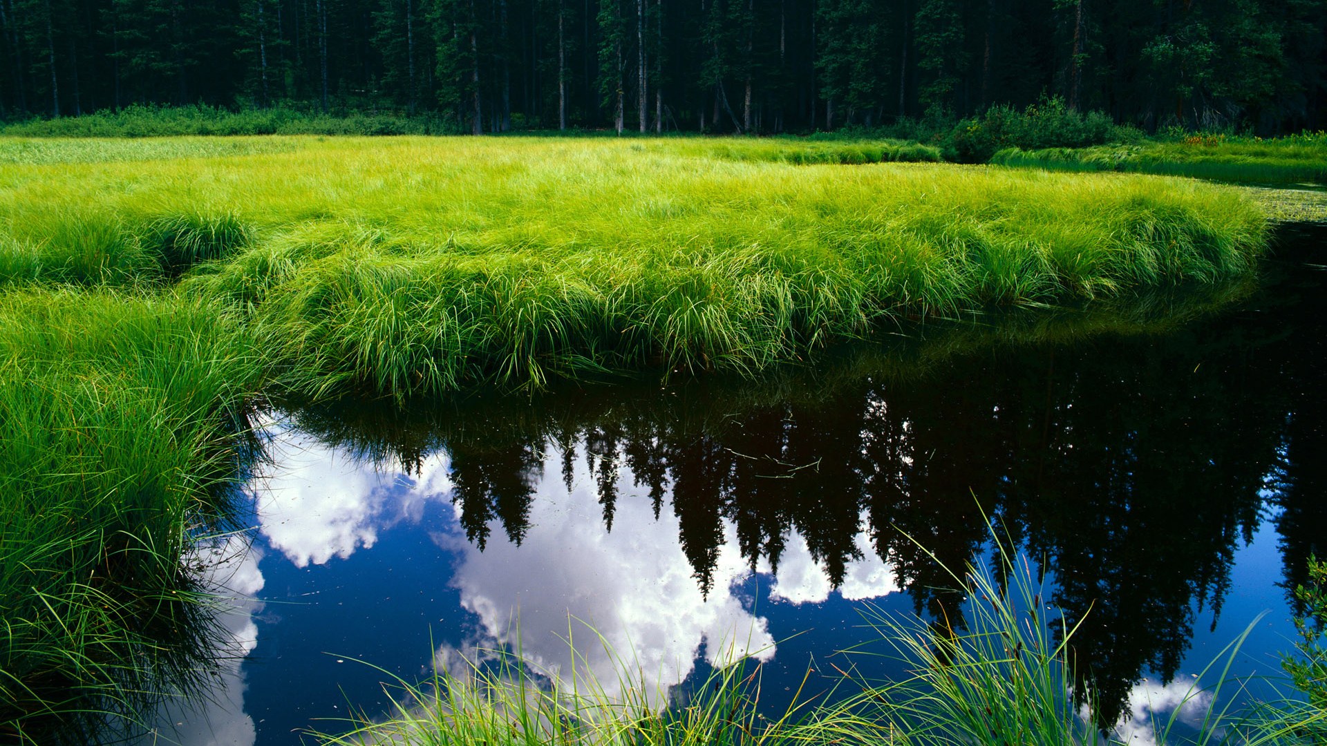 mk sport-马拉维男篮在非洲锦标赛中连续夺冠，体育影响力不断扩大，非洲马拉维介绍