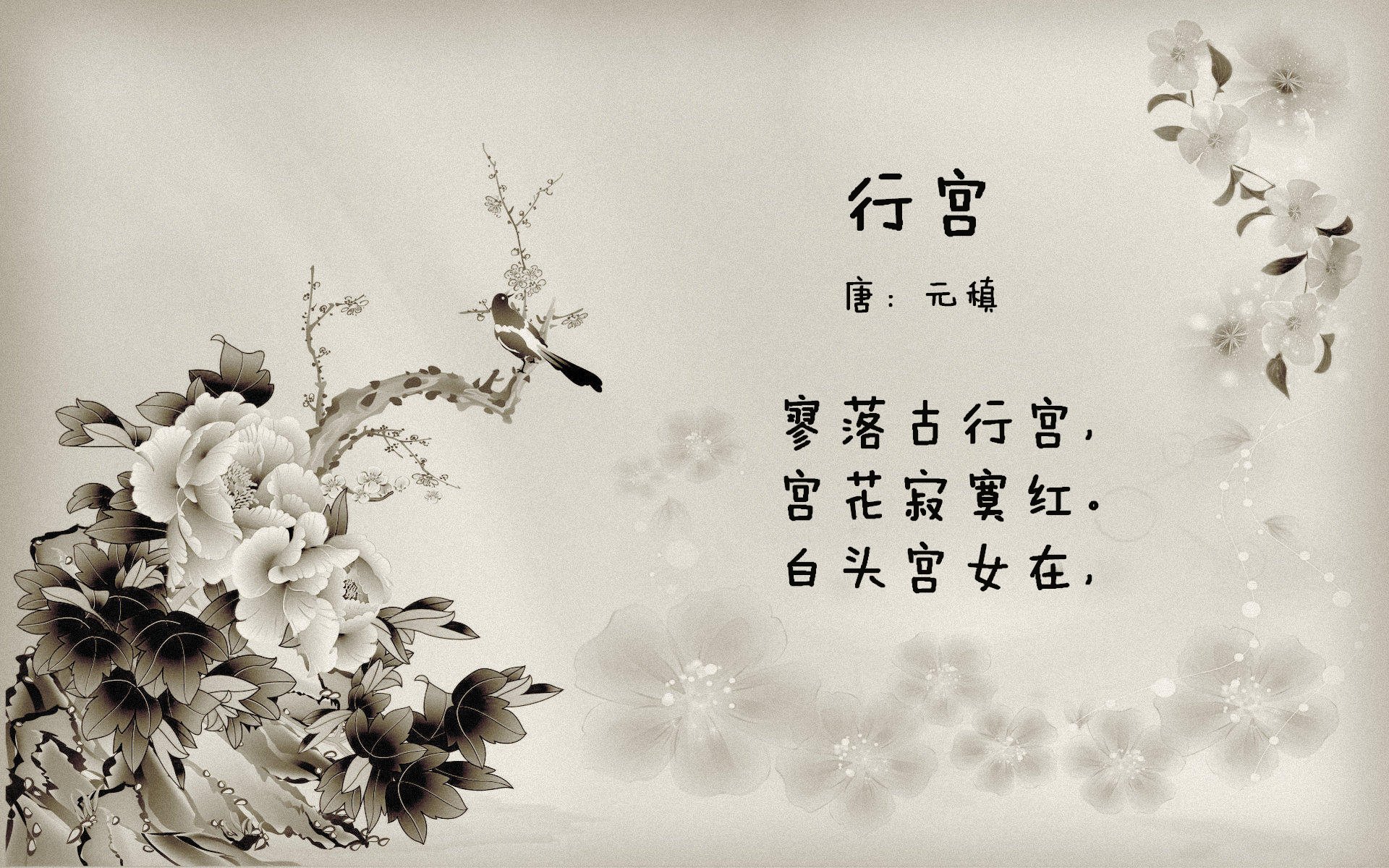 mk体育官网-“罗密欧·冈萨雷斯的强大攻守能力，帮助阿根廷美洲狮队占据优势”